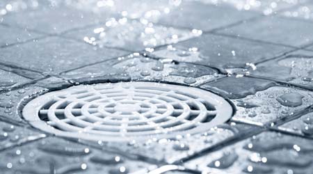 A blocked drain, Clogged sinks, Clogged shower drains, Clogged bath drains