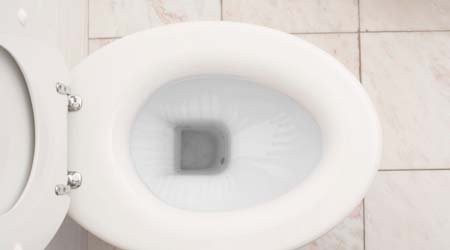 Overflowing toilet, Clogged or Leaky toilets, Sewer backups
